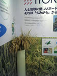 DVC00055.JPG