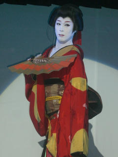 CIMG8247.JPG