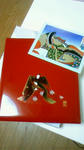 201009270038000.jpg