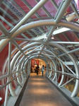 Dscf2546.jpg