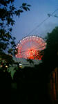 201010231735000.jpg