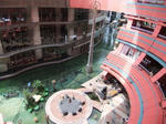 hakata12.jpg