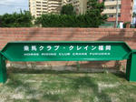 hakata18.jpg