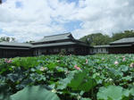 Dscf2485.jpg