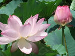 Dscf2489.jpg