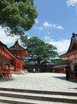 Dscf2493.jpg