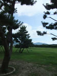 Dscf2382.jpg