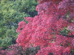Dscf3643.jpg
