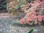Dscf3660.jpg