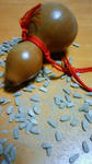 201102230008000.jpg