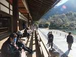 tenryuji2.jpg