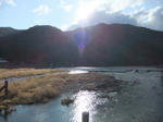 arasiyama1.jpg