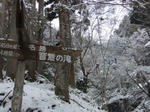 oohara4.jpg