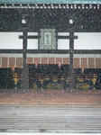 kyotogosyo7.jpg