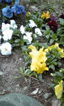 PA0_0128.JPG
