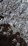 PA0_0136.JPG