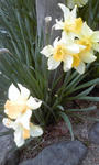 PA0_0137.JPG