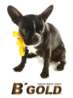 BGOLD-09.jpg