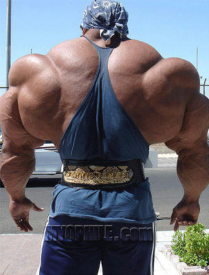body_builder_6sfw.jpg