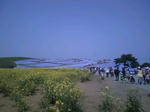 100505_1305~0001.jpg
