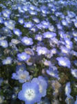 100505_1307~0002.jpg