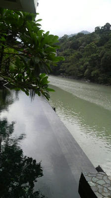 P1150048.jpg