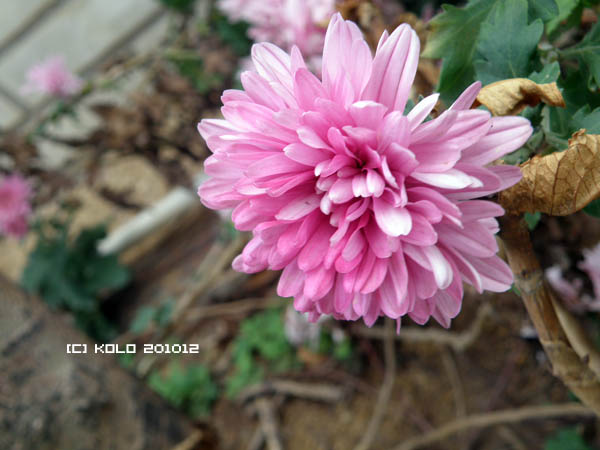 PC201428.JPG