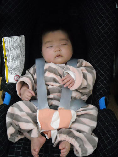 DSCN1875.jpg