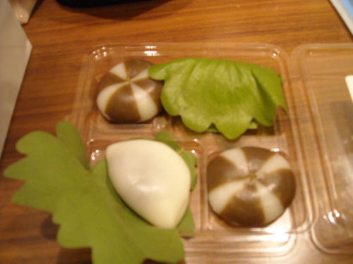DSCN2007.jpg