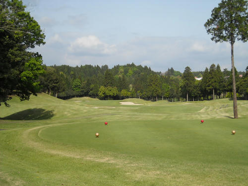 DSCN2066.jpg