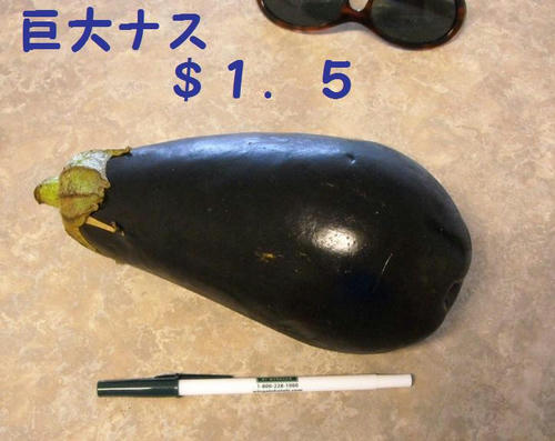 c8a23459.jpeg