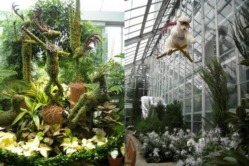 botanic.jpg