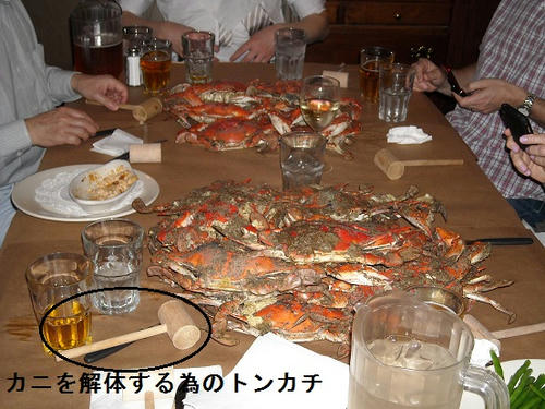 051.JPG