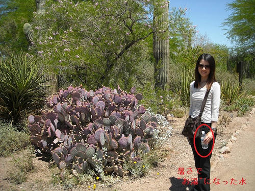 Desert5.jpg