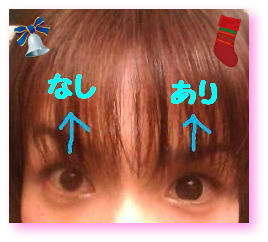 2009112018270000.jpg