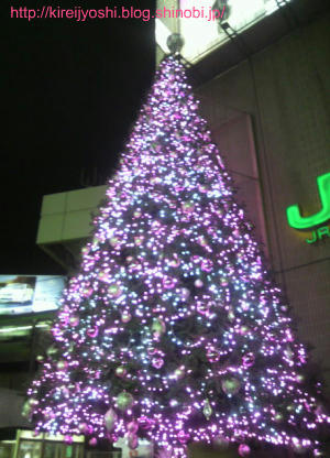 2009120818460000.jpg