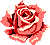 d35f431b.gif