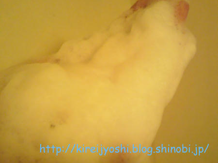 2010011915400001.jpg