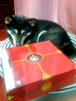 box
