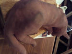 PICT0043.JPG