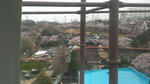 IMAG0041.jpg