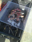 bbq.jpg