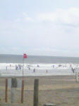 sea.jpg