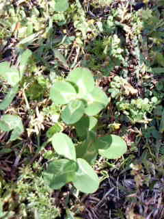 Image009.jpg