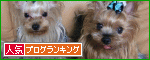 br_decobanner_20100807021203.gif