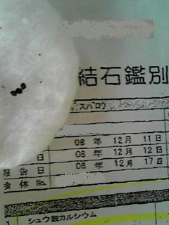 PA0_00499.JPG