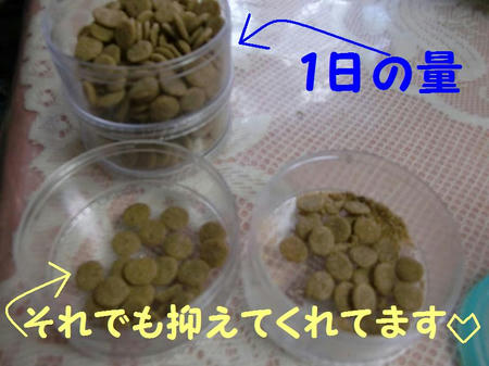 081403.JPG
