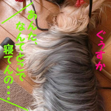 CIMG2334.JPG