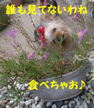 081810.JPG