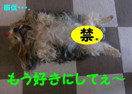 001905a6.jpeg